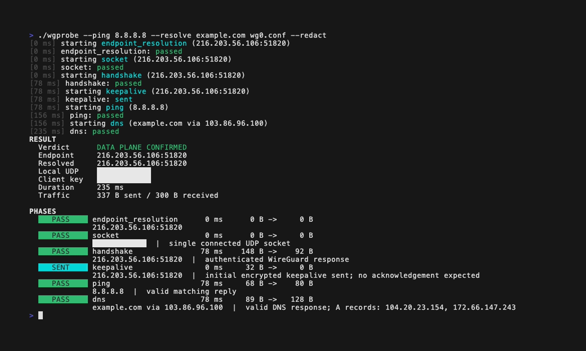 Redacted wgprobe report showing passed WireGuard handshake, ping, and DNS phases